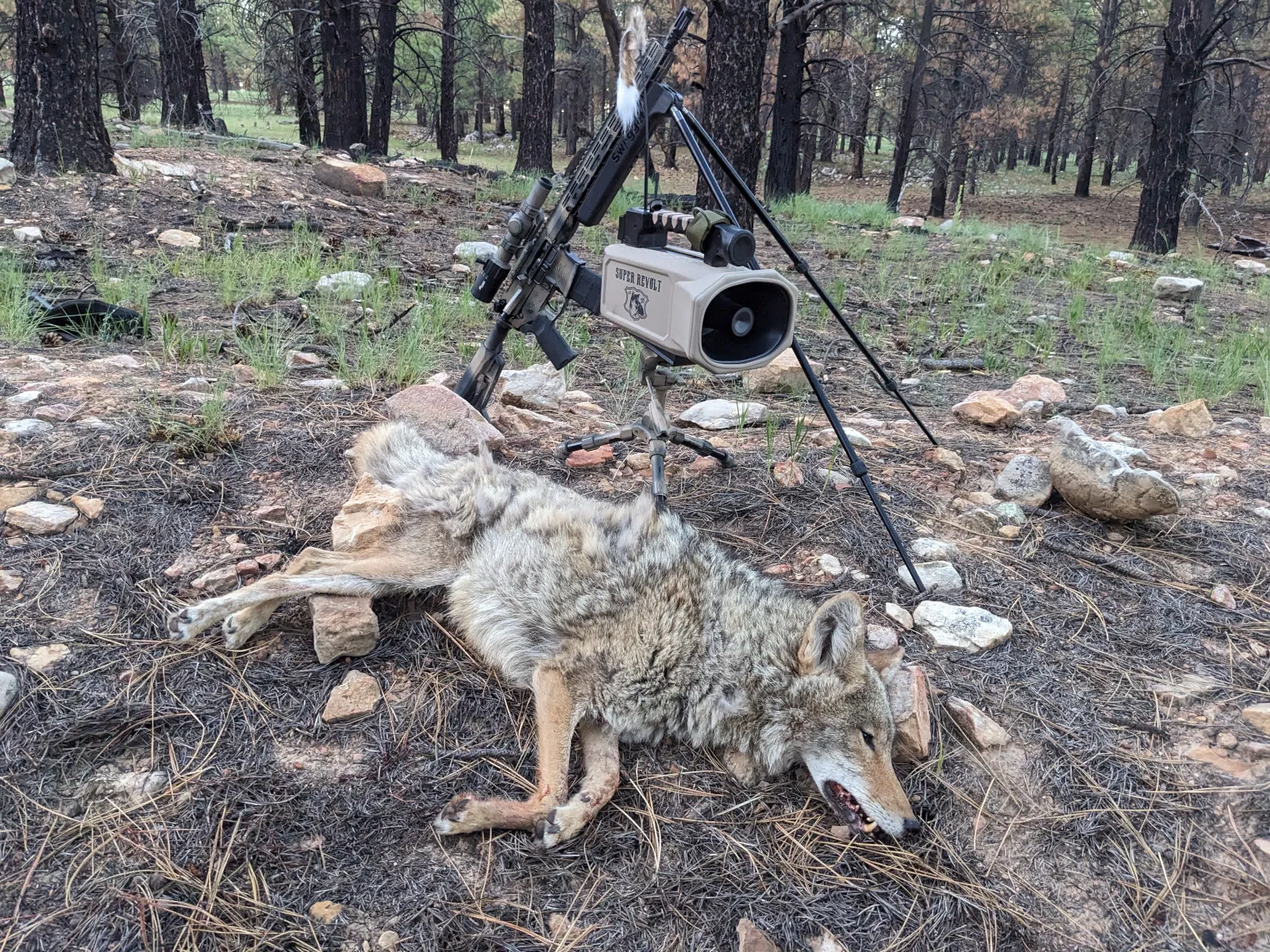 Hunt photo