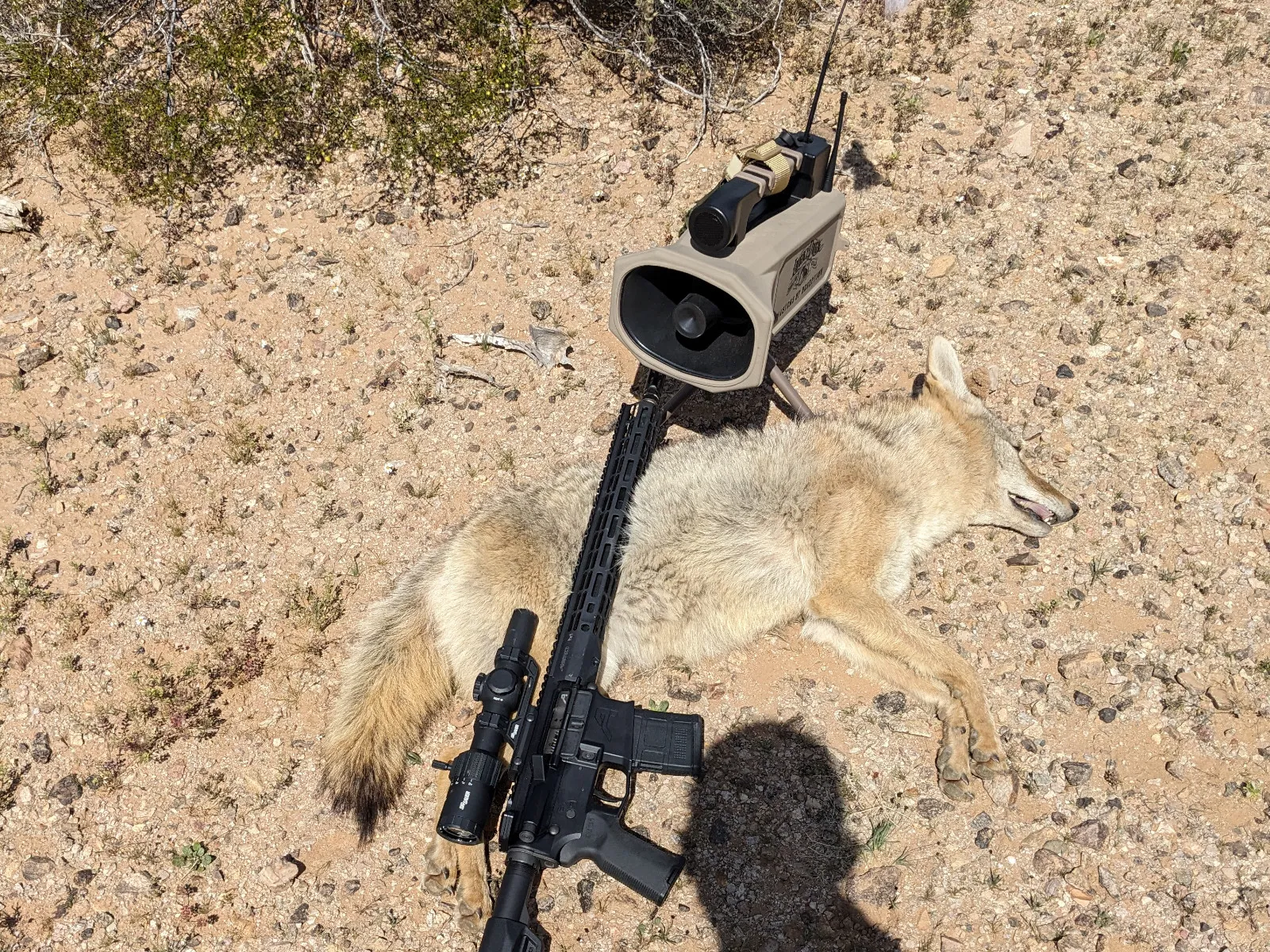 Hunt photo