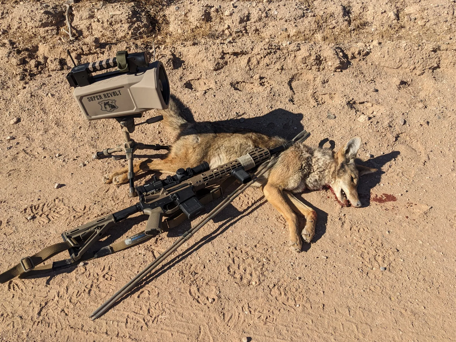 Hunt photo