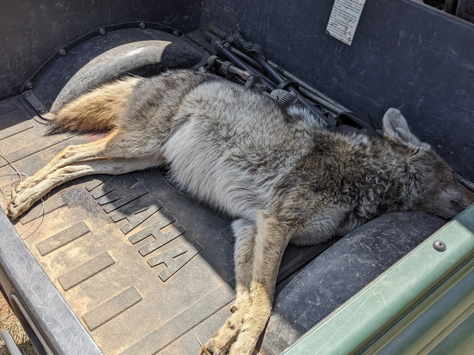 Hunt photo