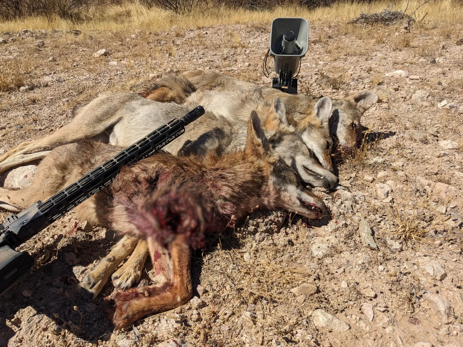 Hunt photo